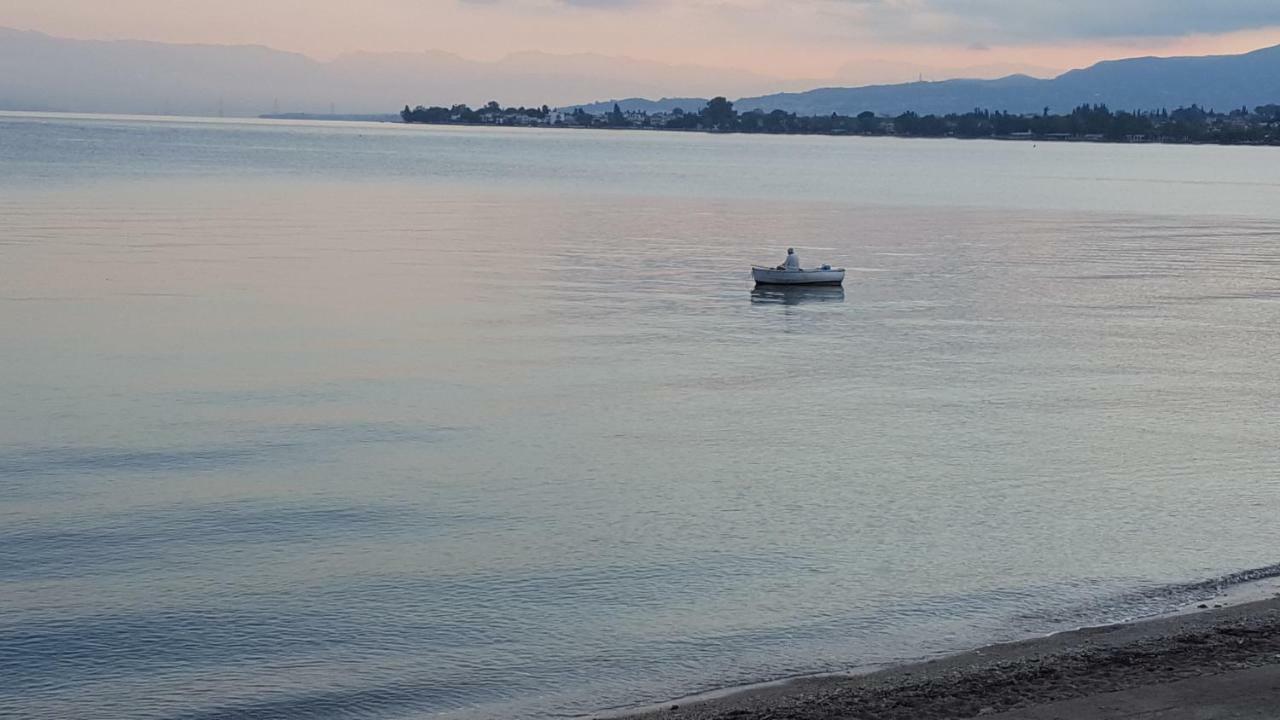 Patras Luxury Seaside Houseヴィラ エクステリア 写真