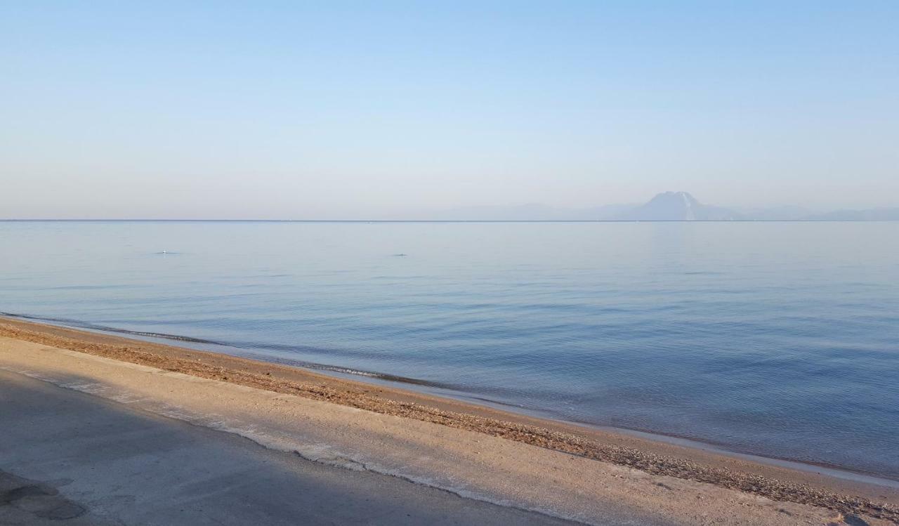 Patras Luxury Seaside Houseヴィラ エクステリア 写真